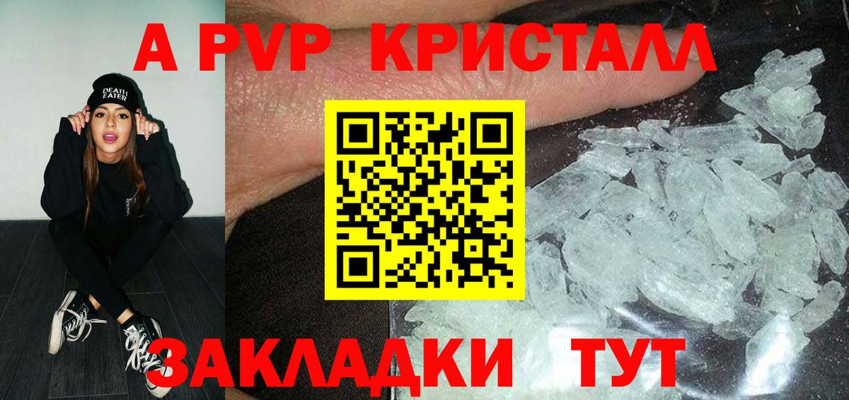 A PVP СК КРИС Владимир