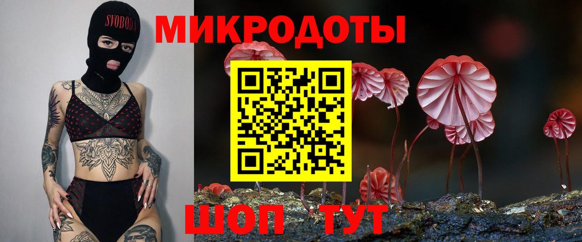 где купить наркотик  Галлюциногенные грибы мицелий  Вход с VPN  Владимир 